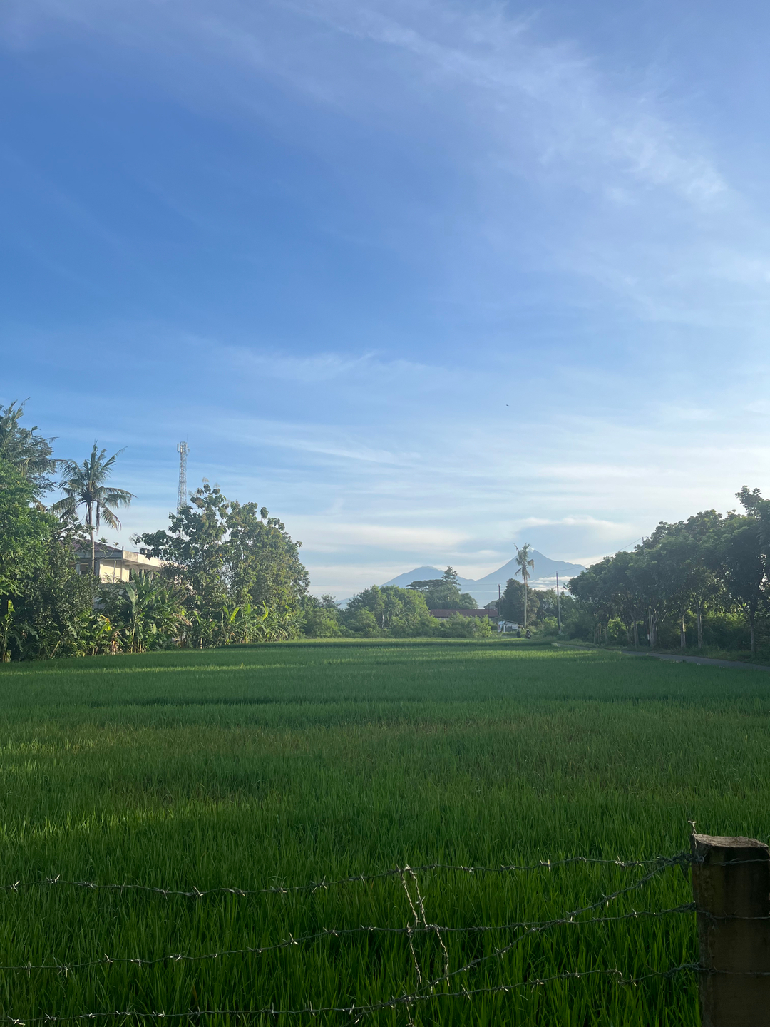 userImage-14