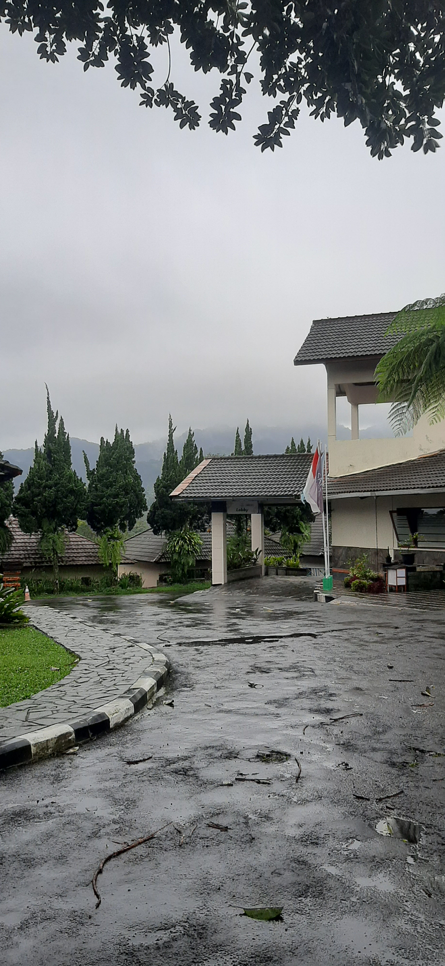 userImage-8