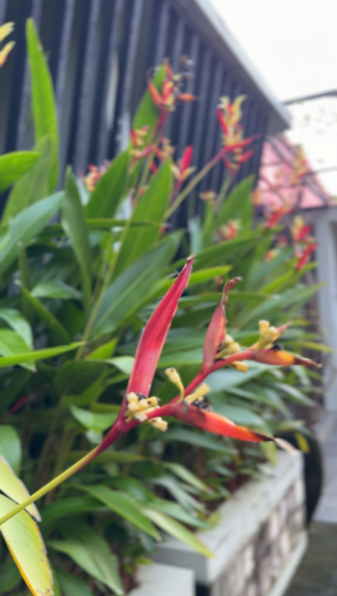 userImage-10