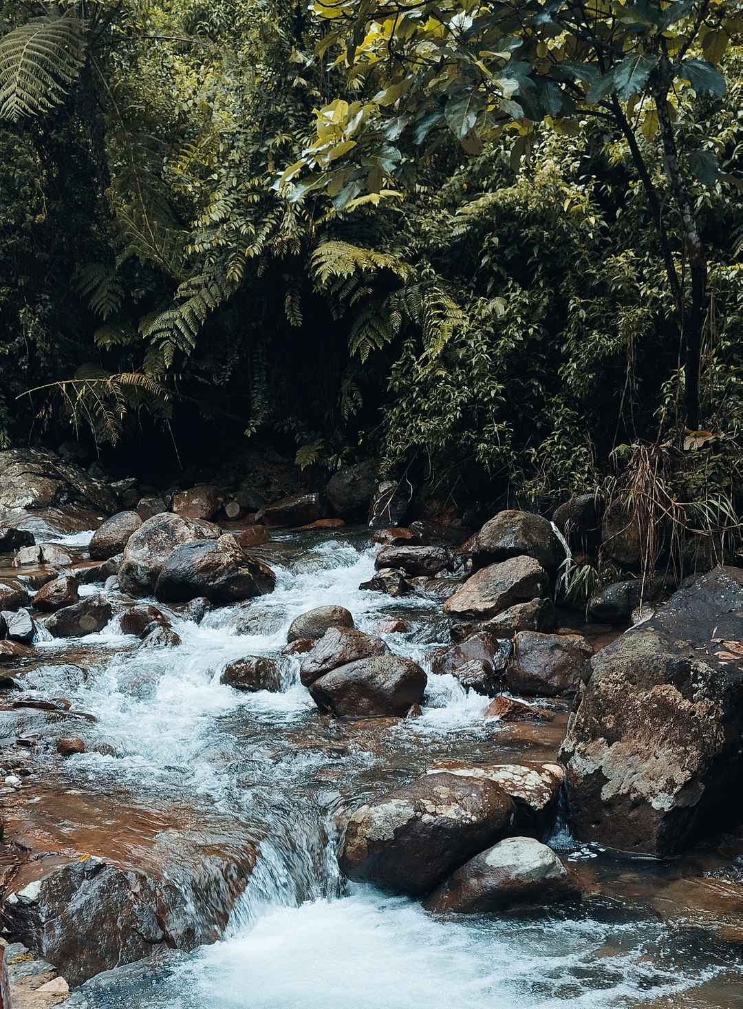 userImage-2