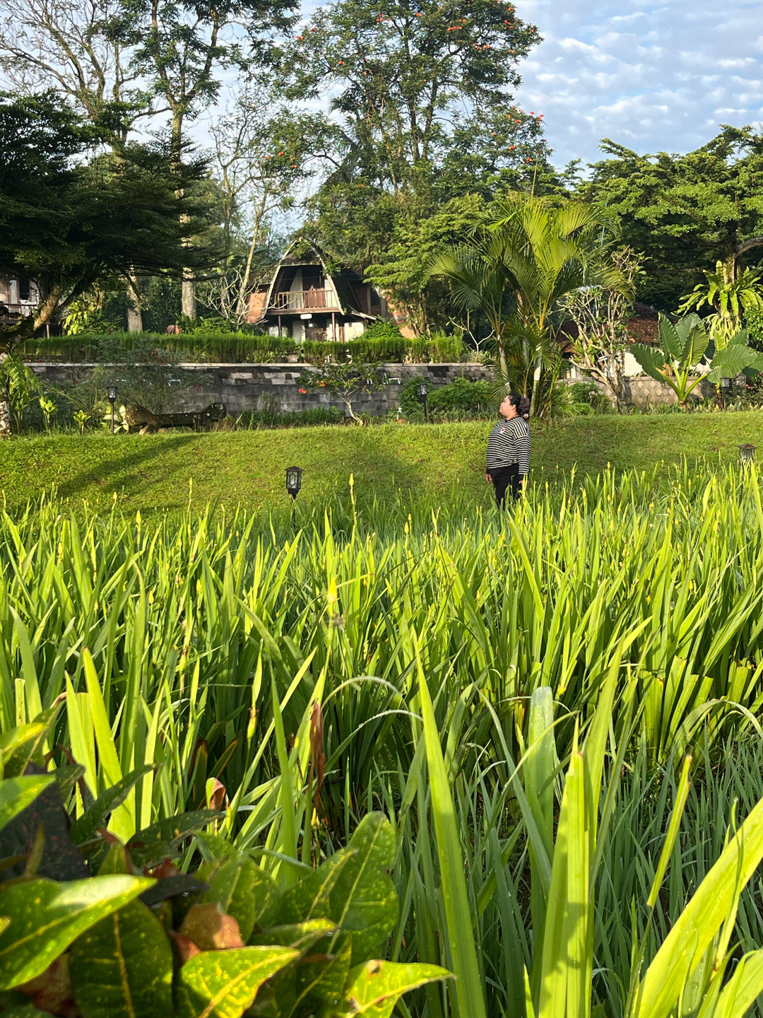 userImage-6