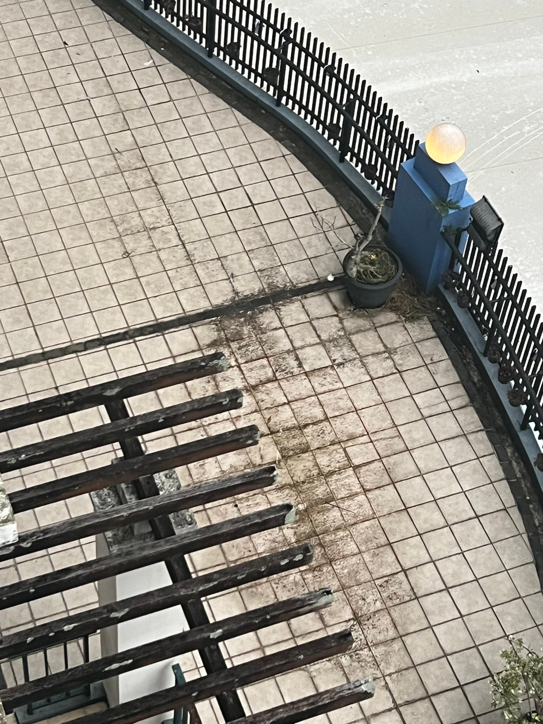 userImage-2