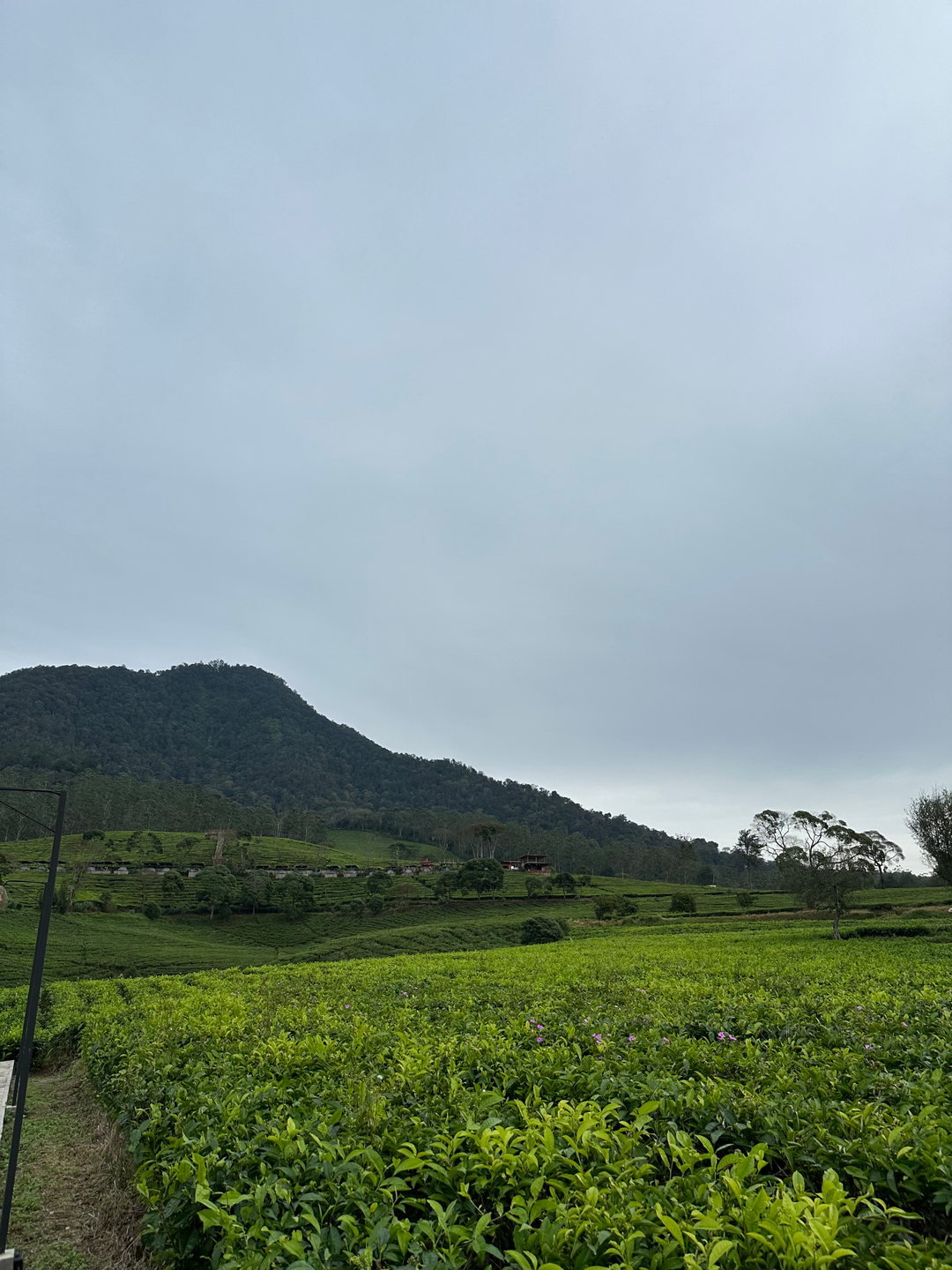 userImage-8