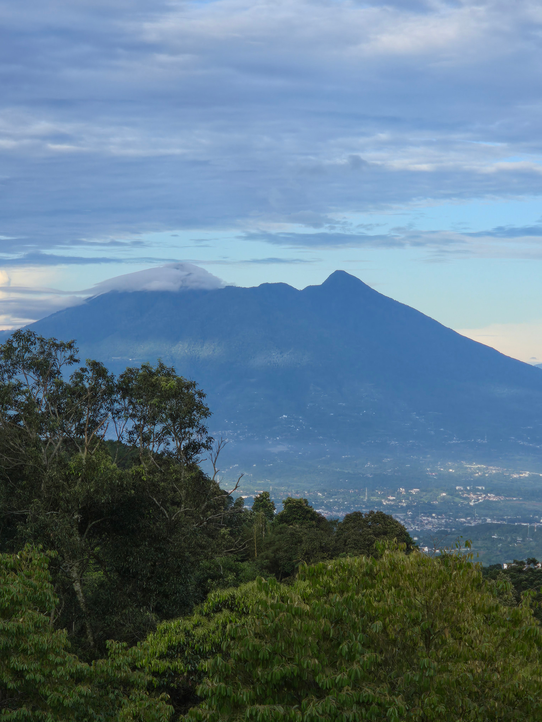 userImage-1