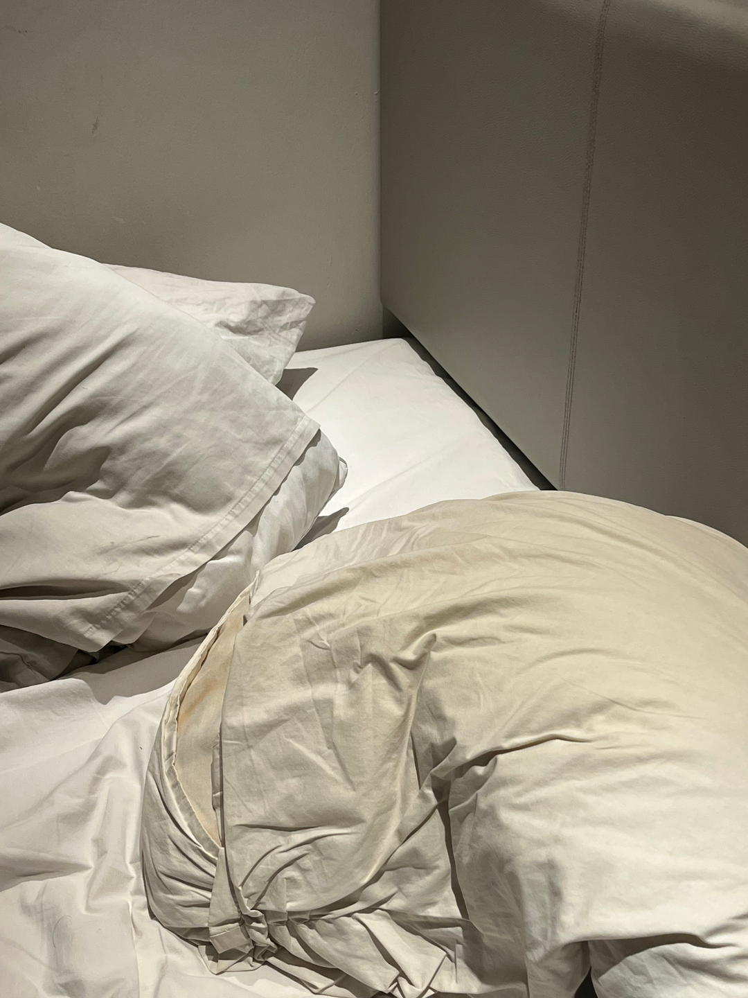 userImage-11