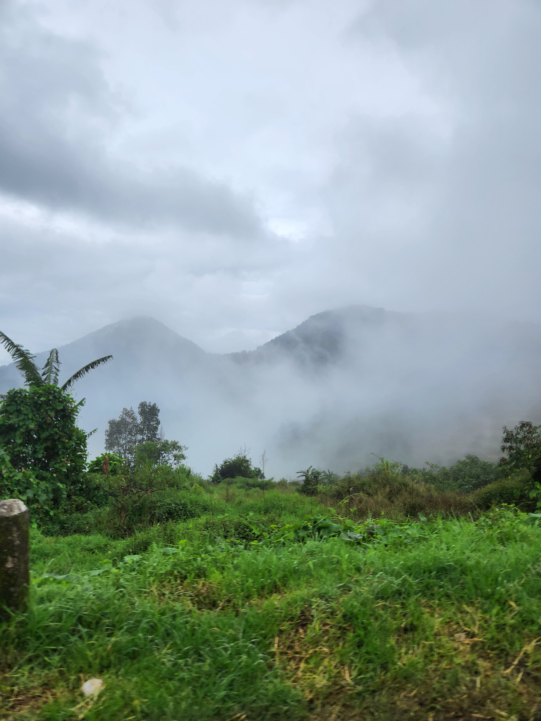 userImage-7