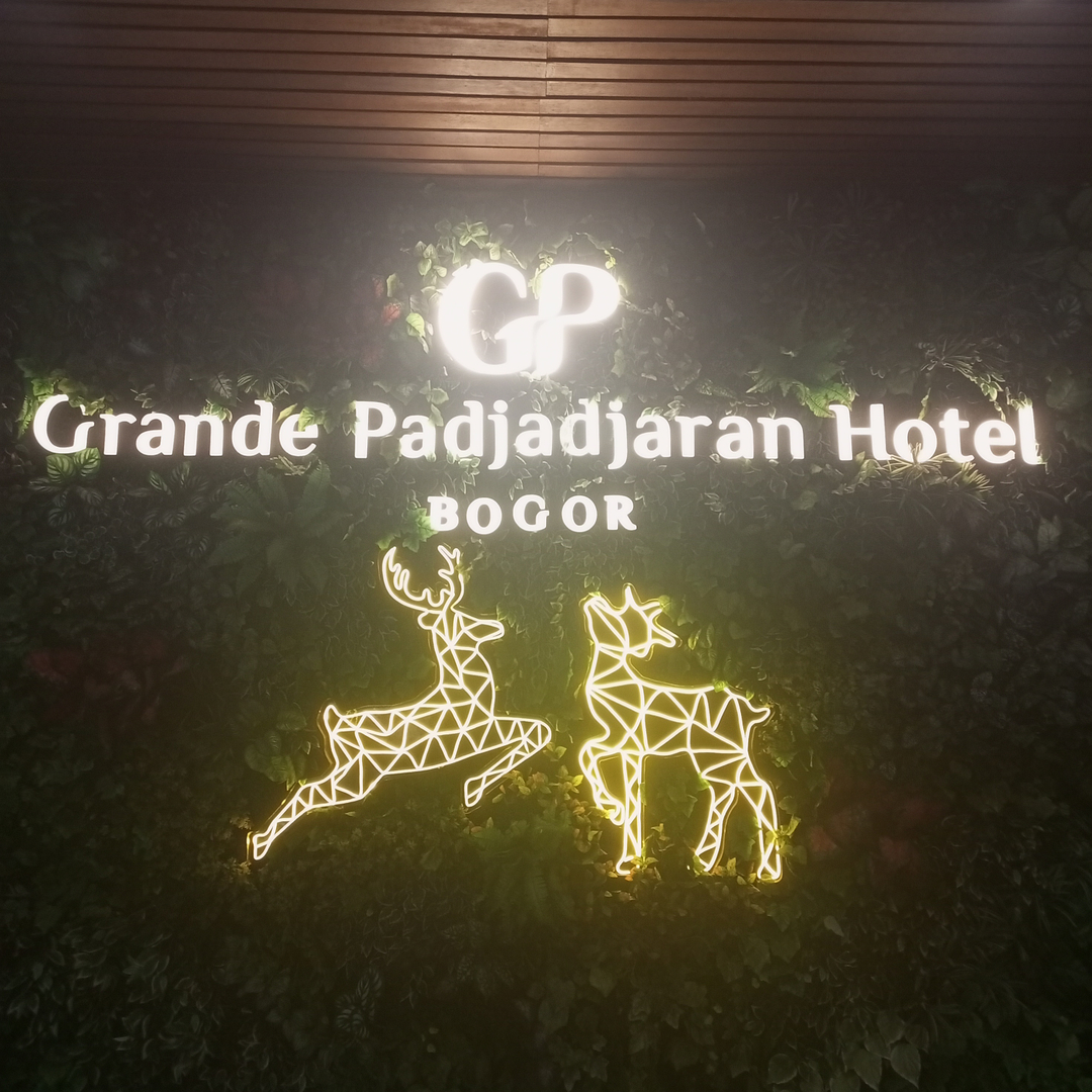 userImage-11