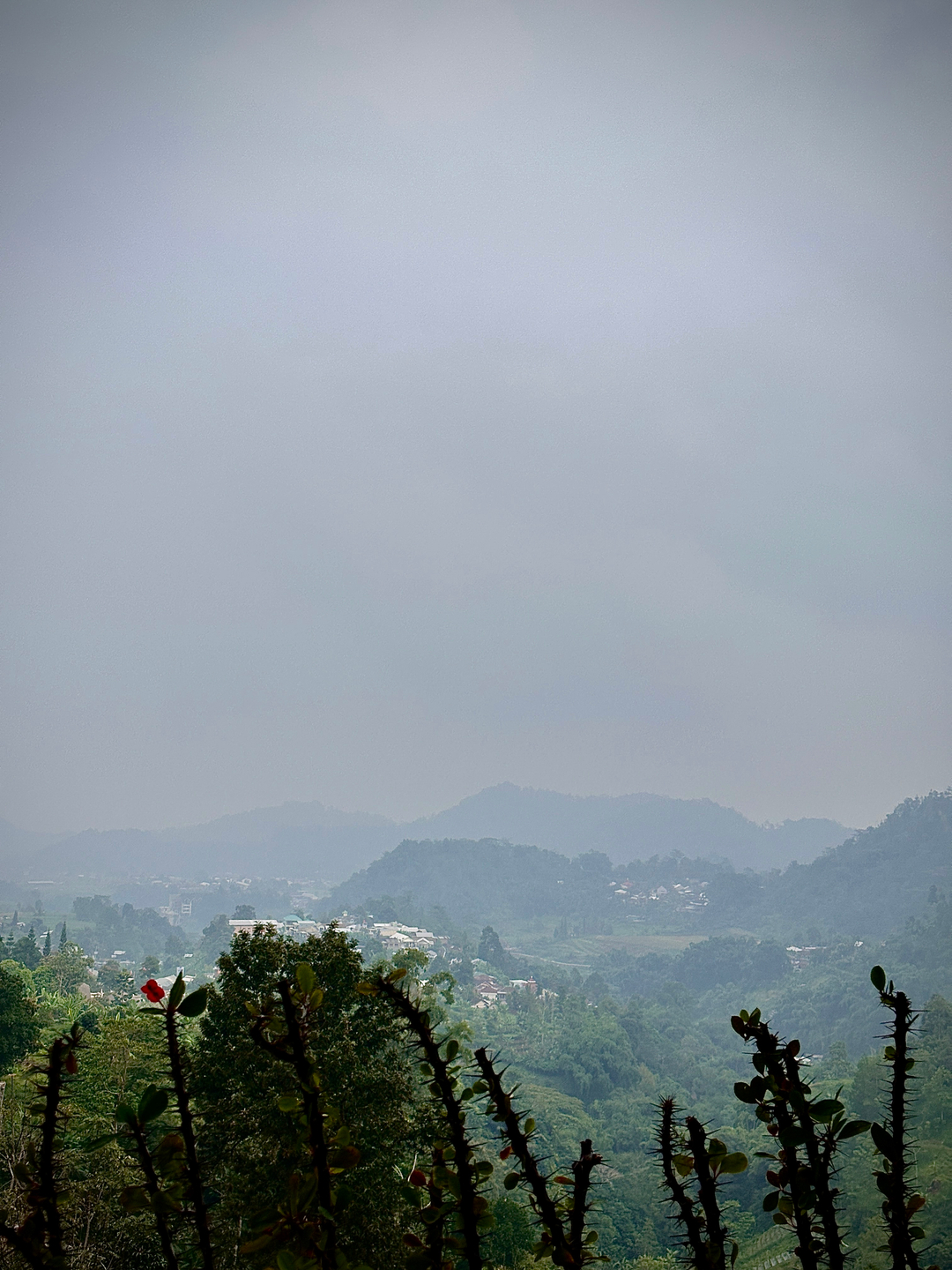 userImage-14