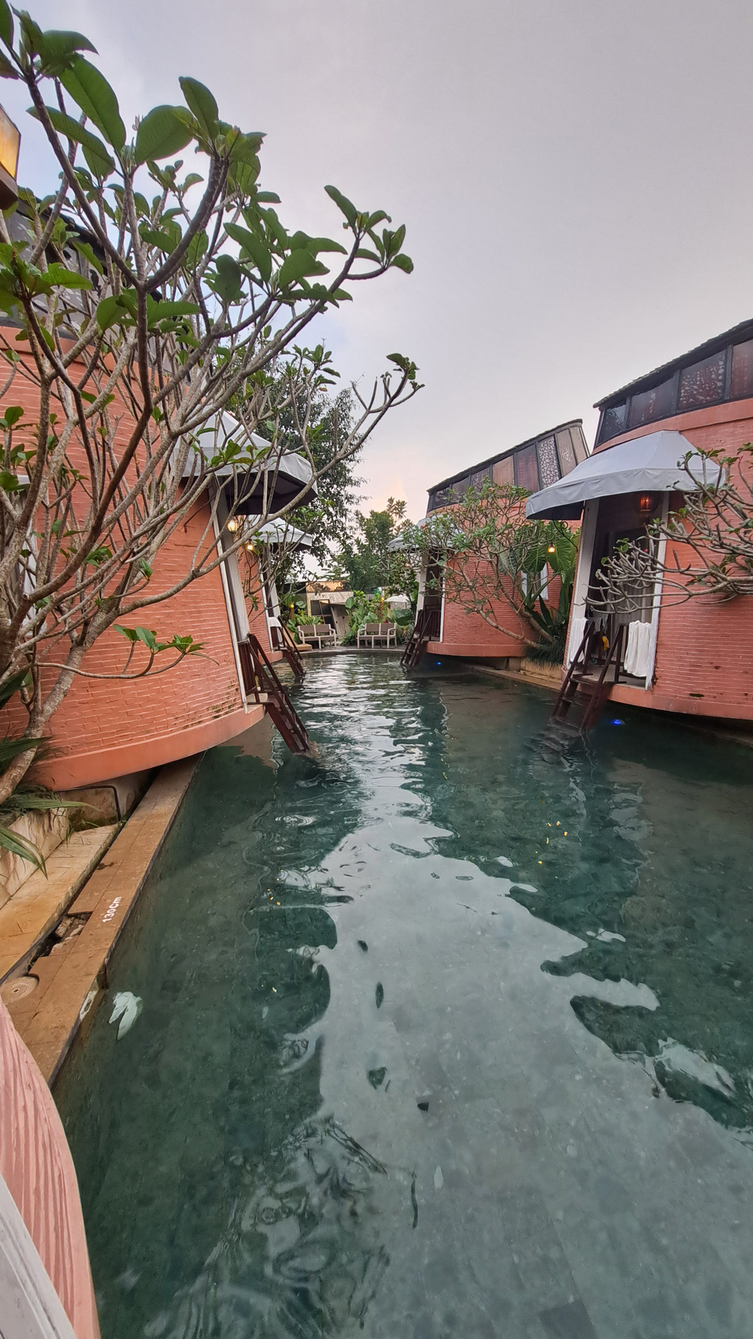 userImage-2