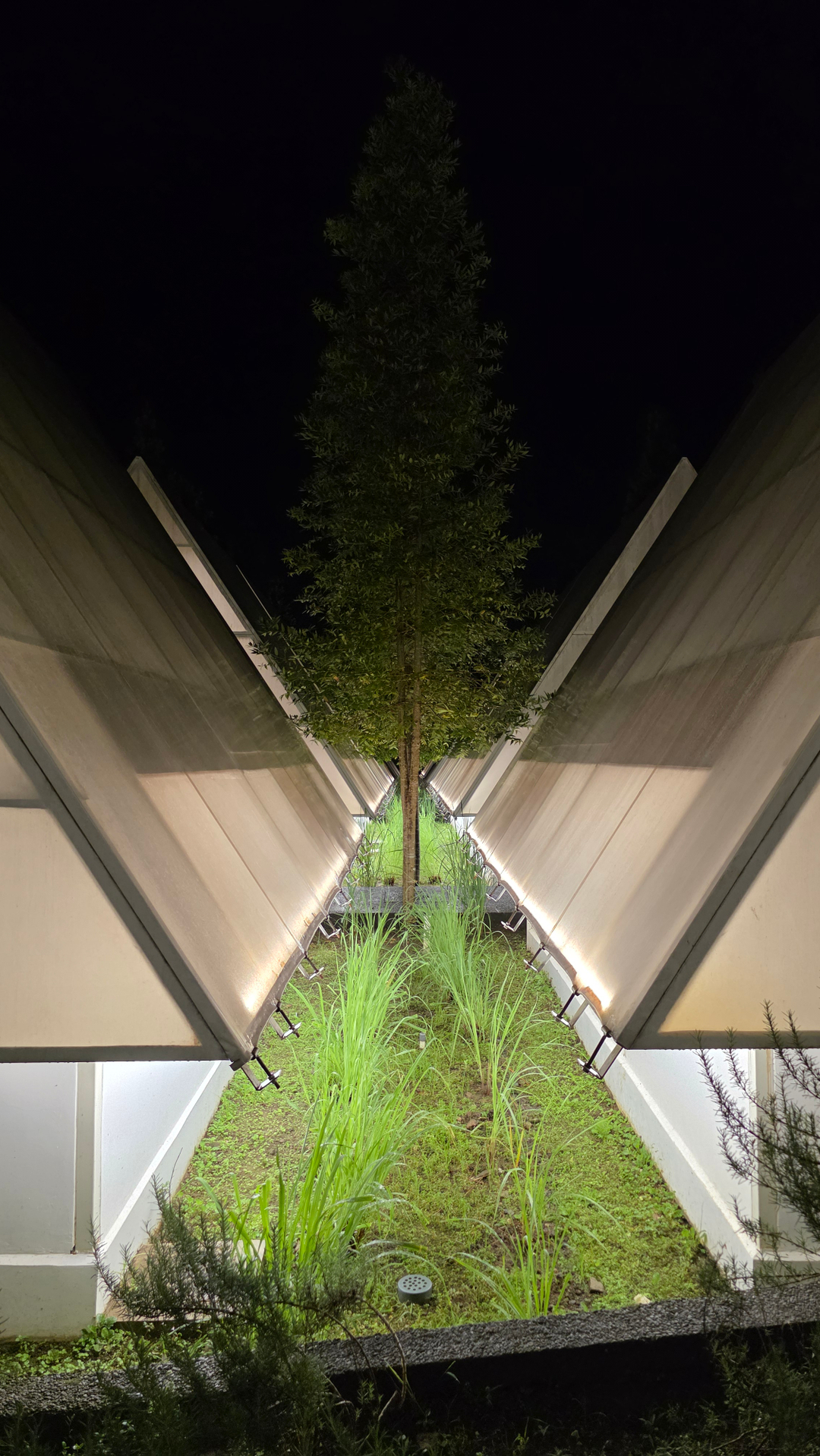 userImage-7