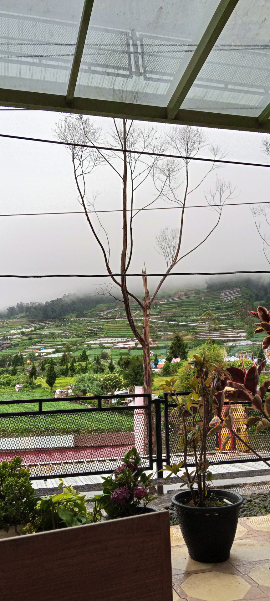 userImage-4
