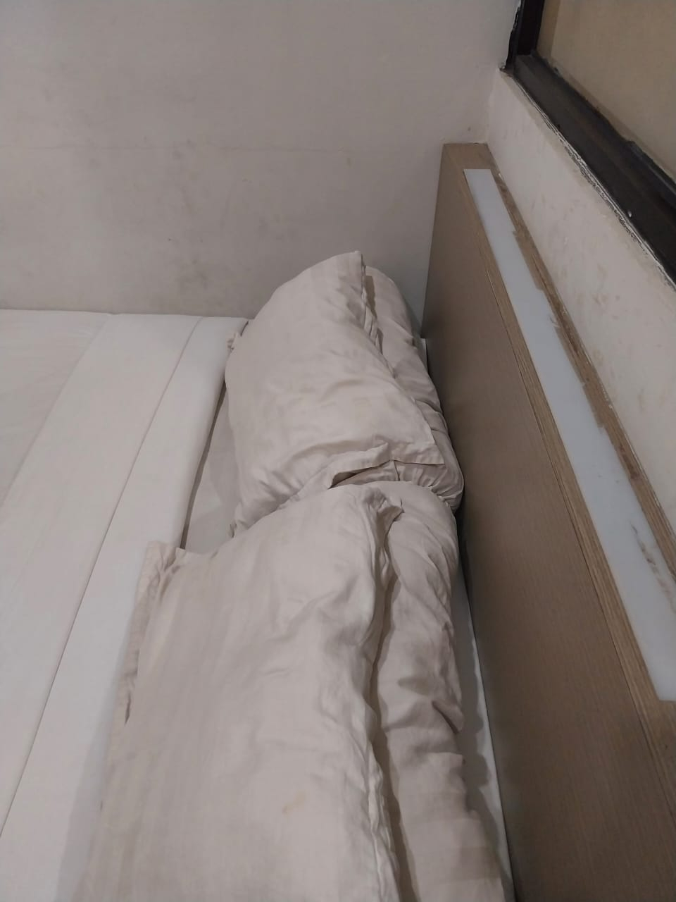 userImage-19