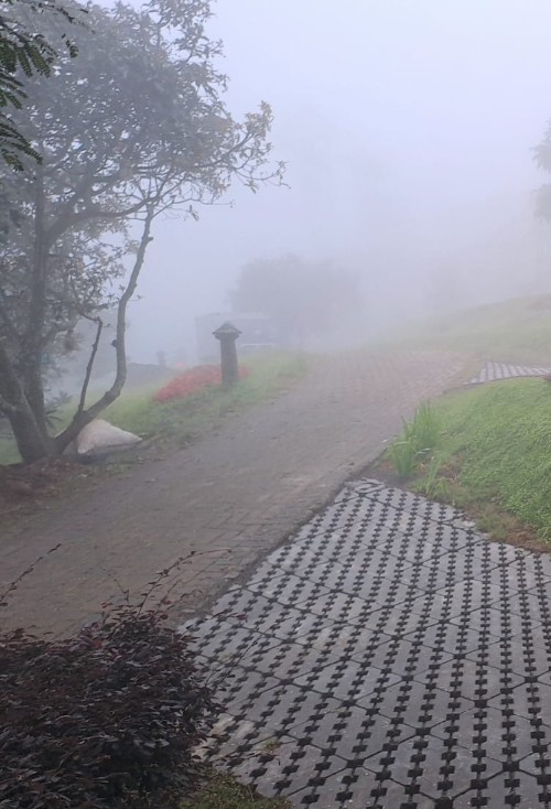 userImage-0