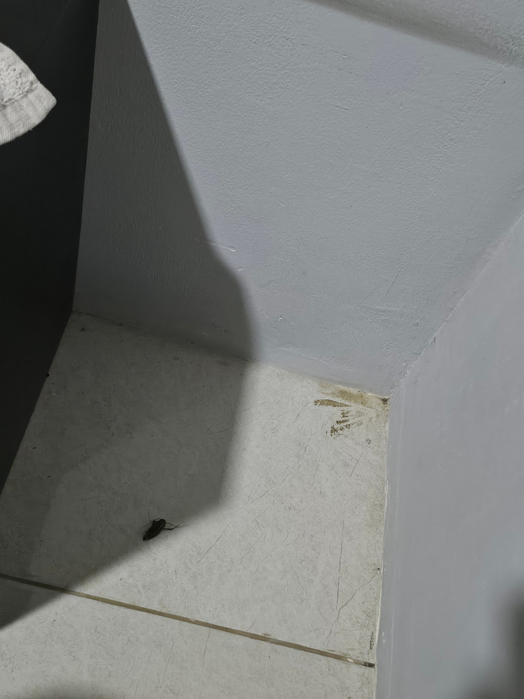 userImage-17