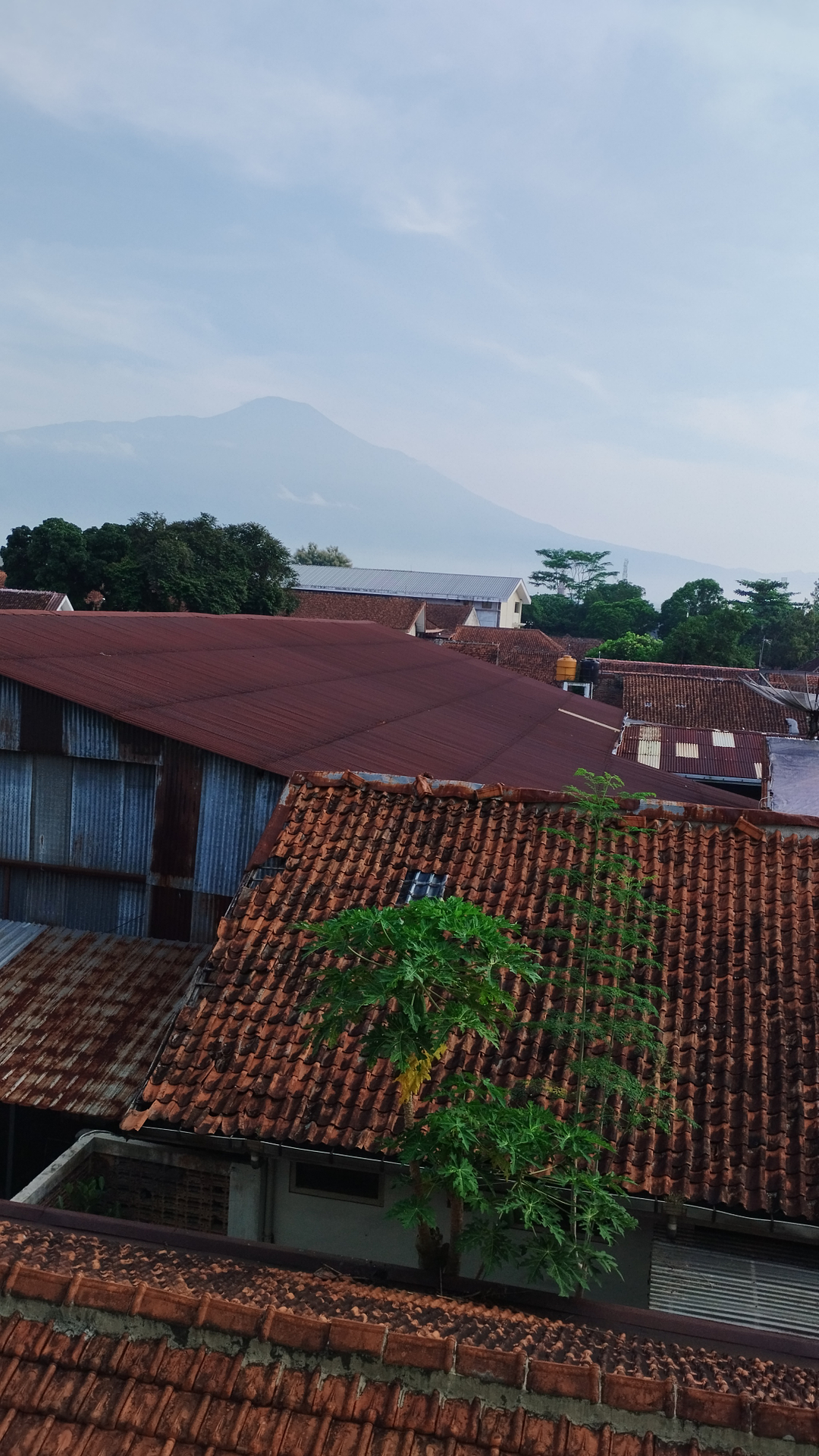 userImage-18