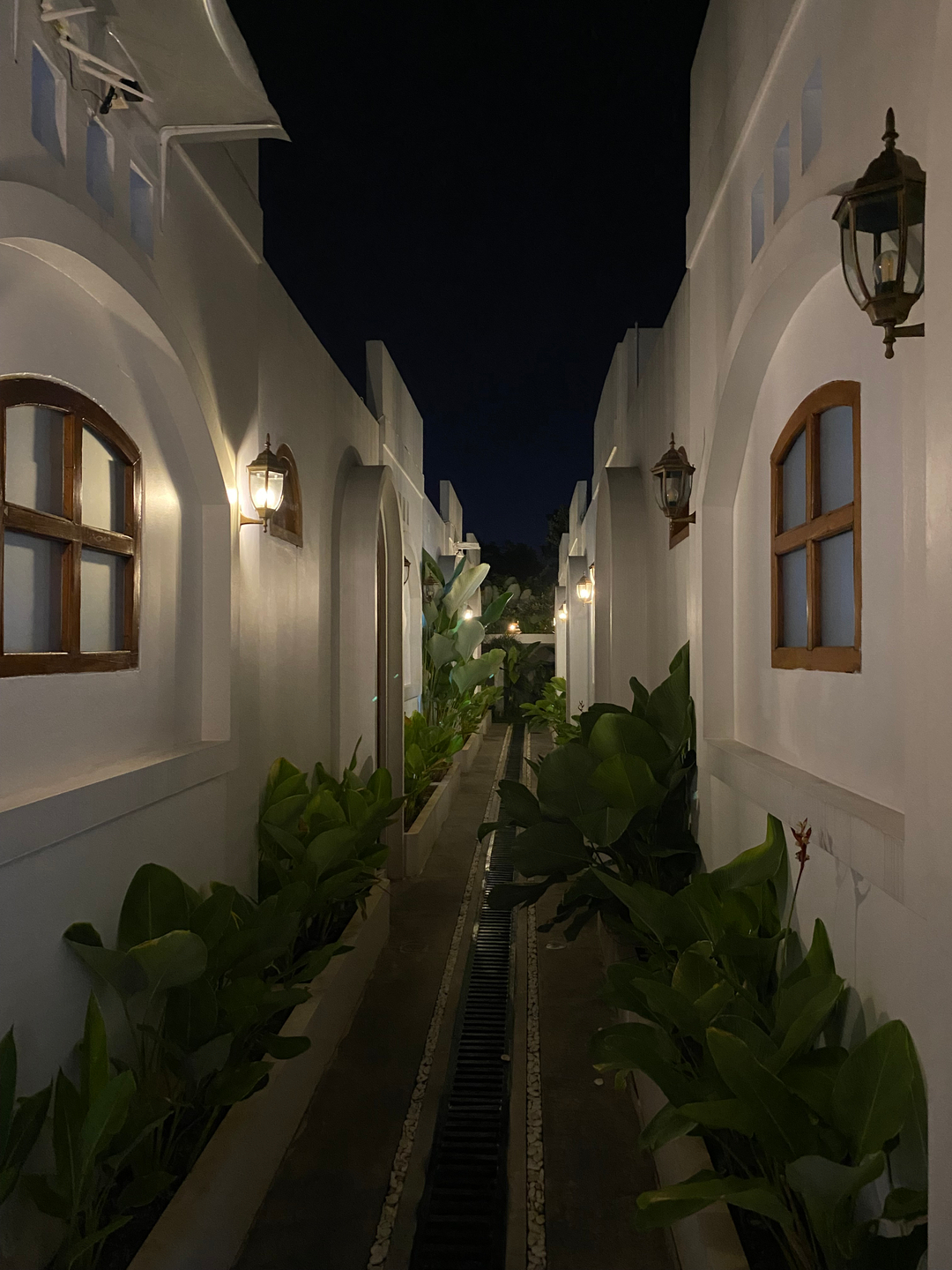 userImage-1