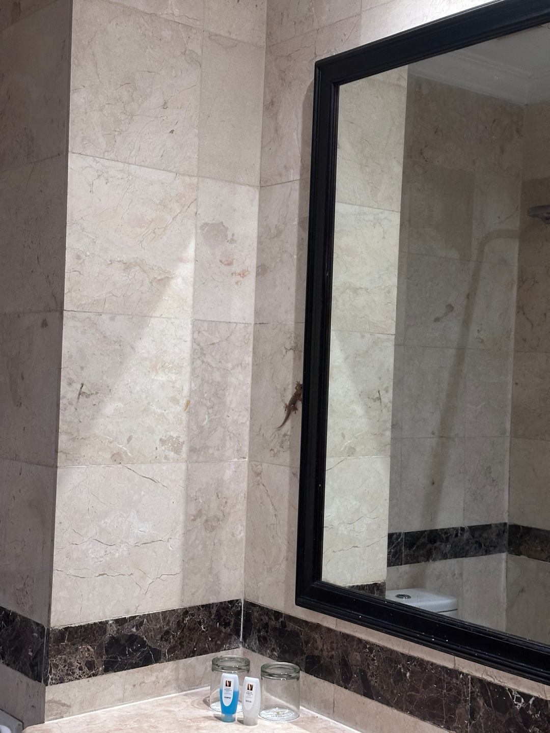 userImage-6