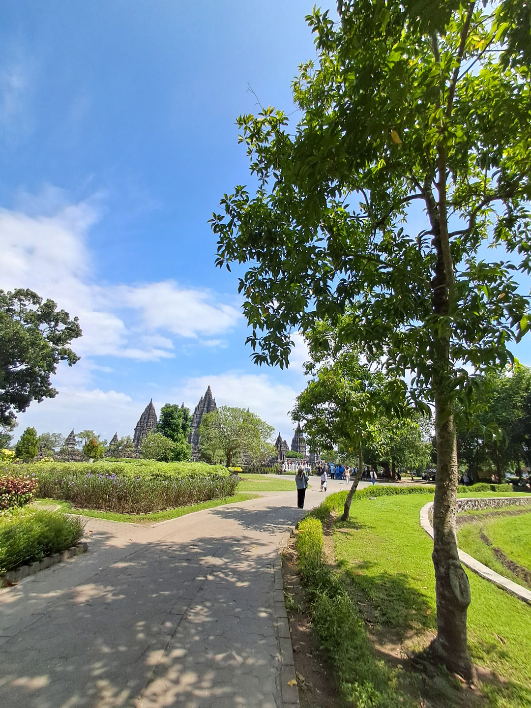 userImage-4