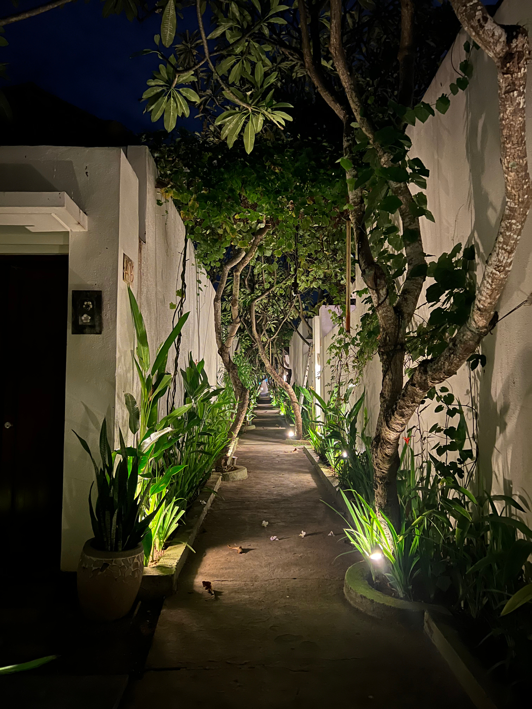 userImage-2