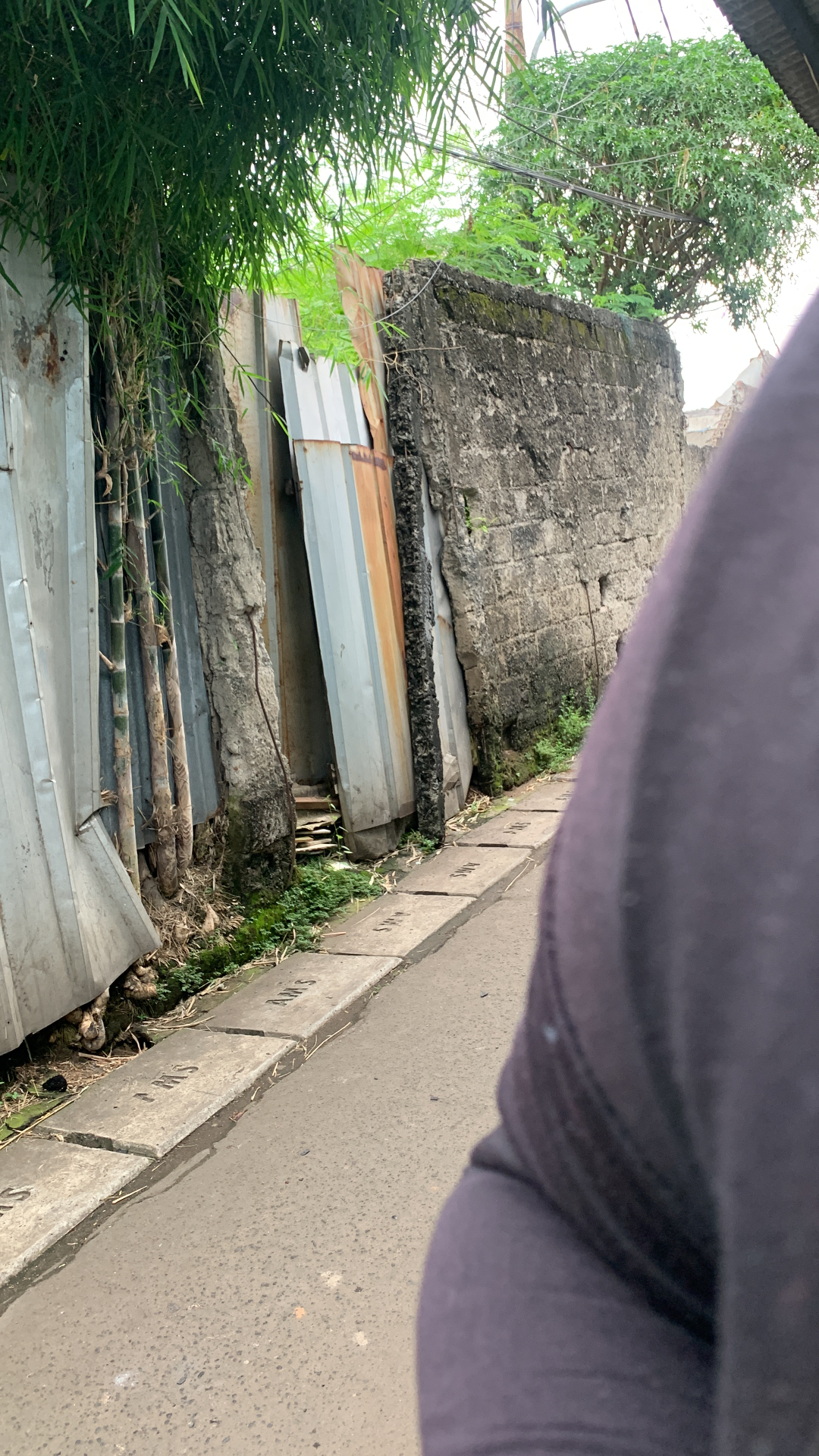 userImage-13