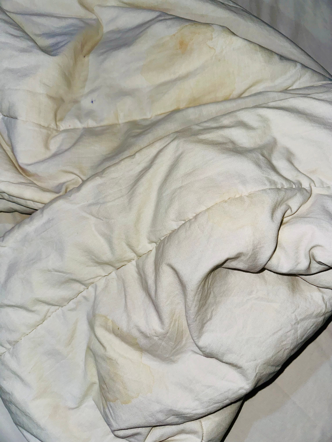 userImage-1