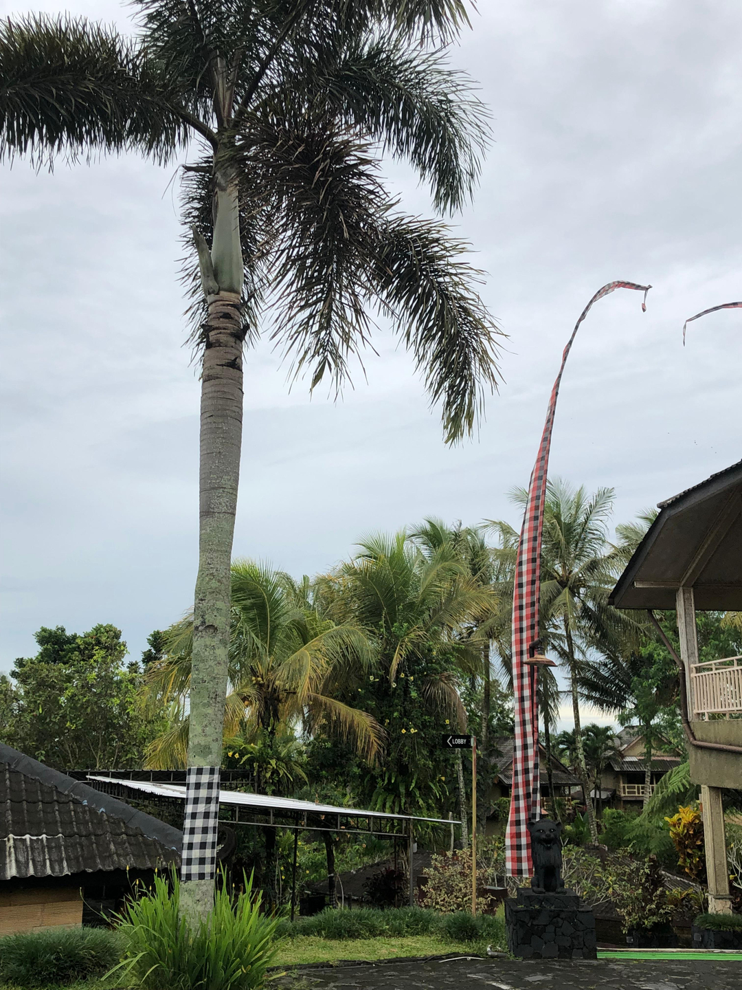 userImage-9