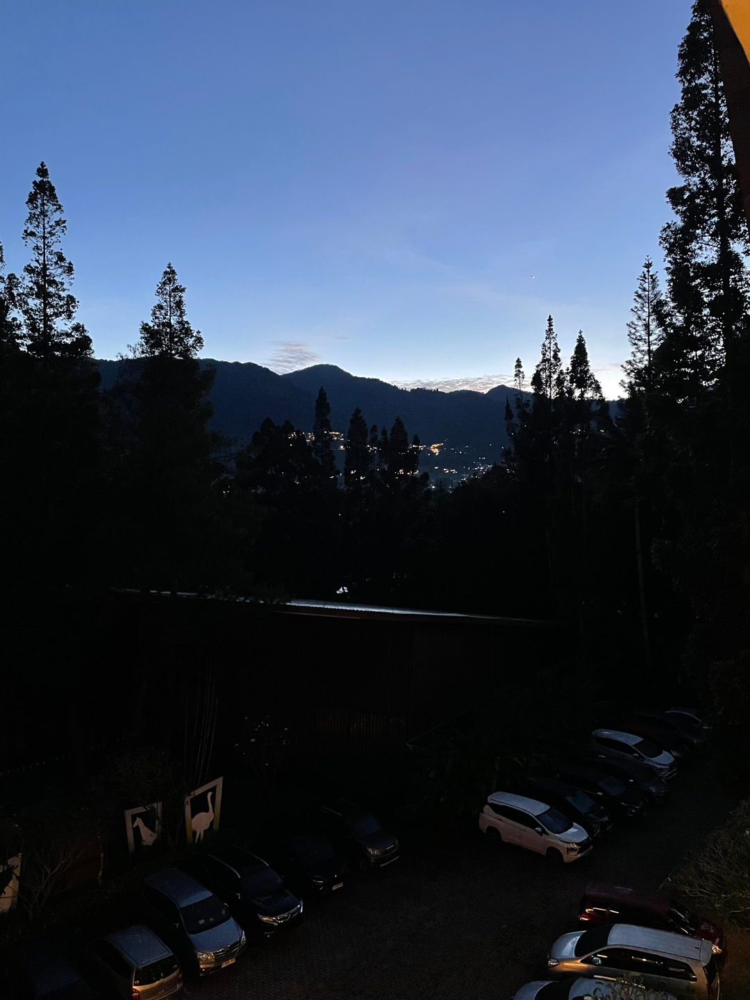 userImage-3