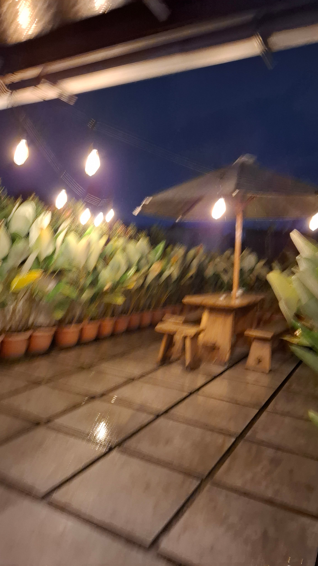 userImage-5