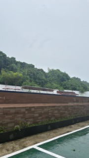 userImage-12