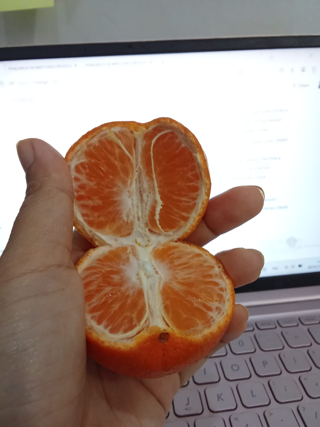 userImage-13