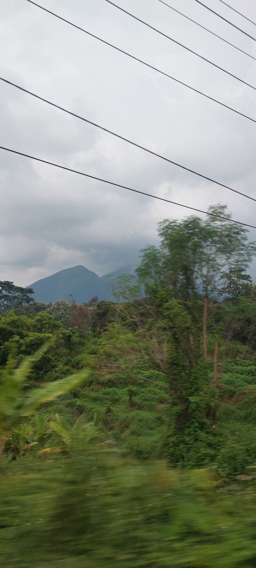 userImage-12