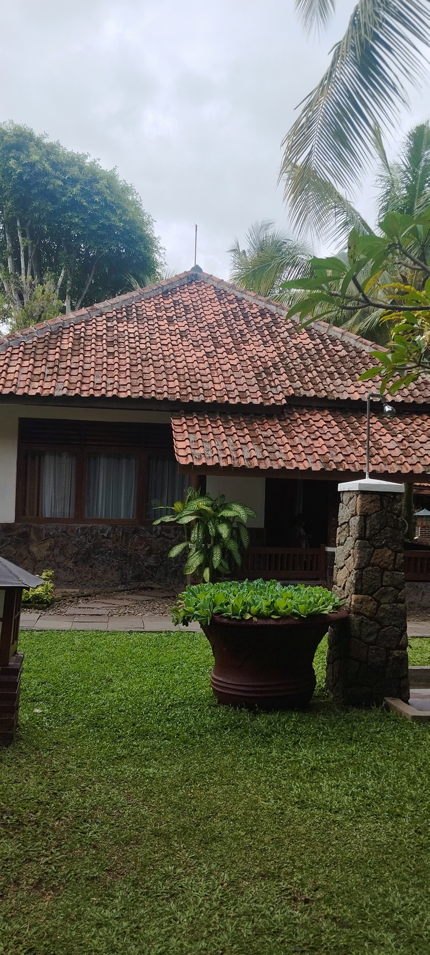 userImage-1