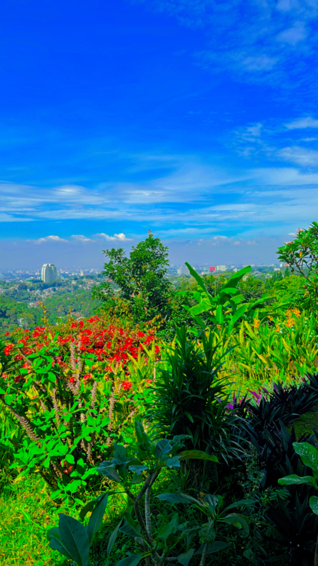 userImage-3