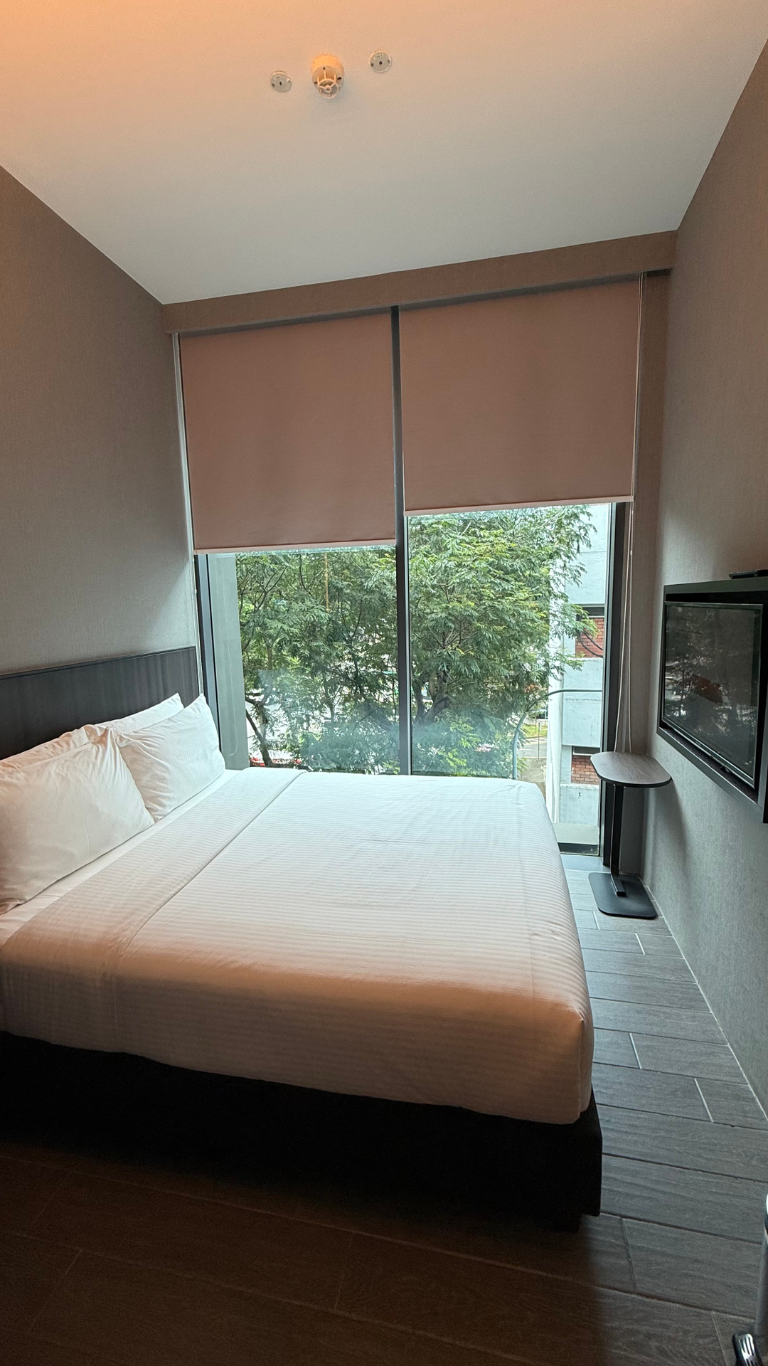 userImage-4