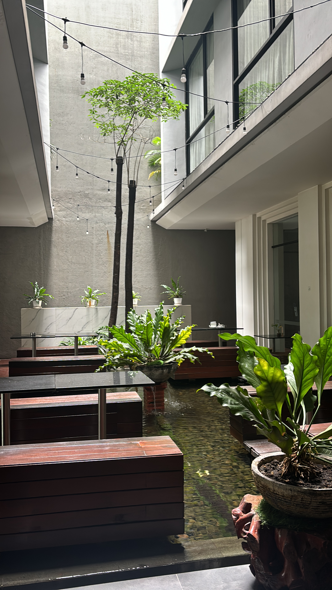 userImage-8