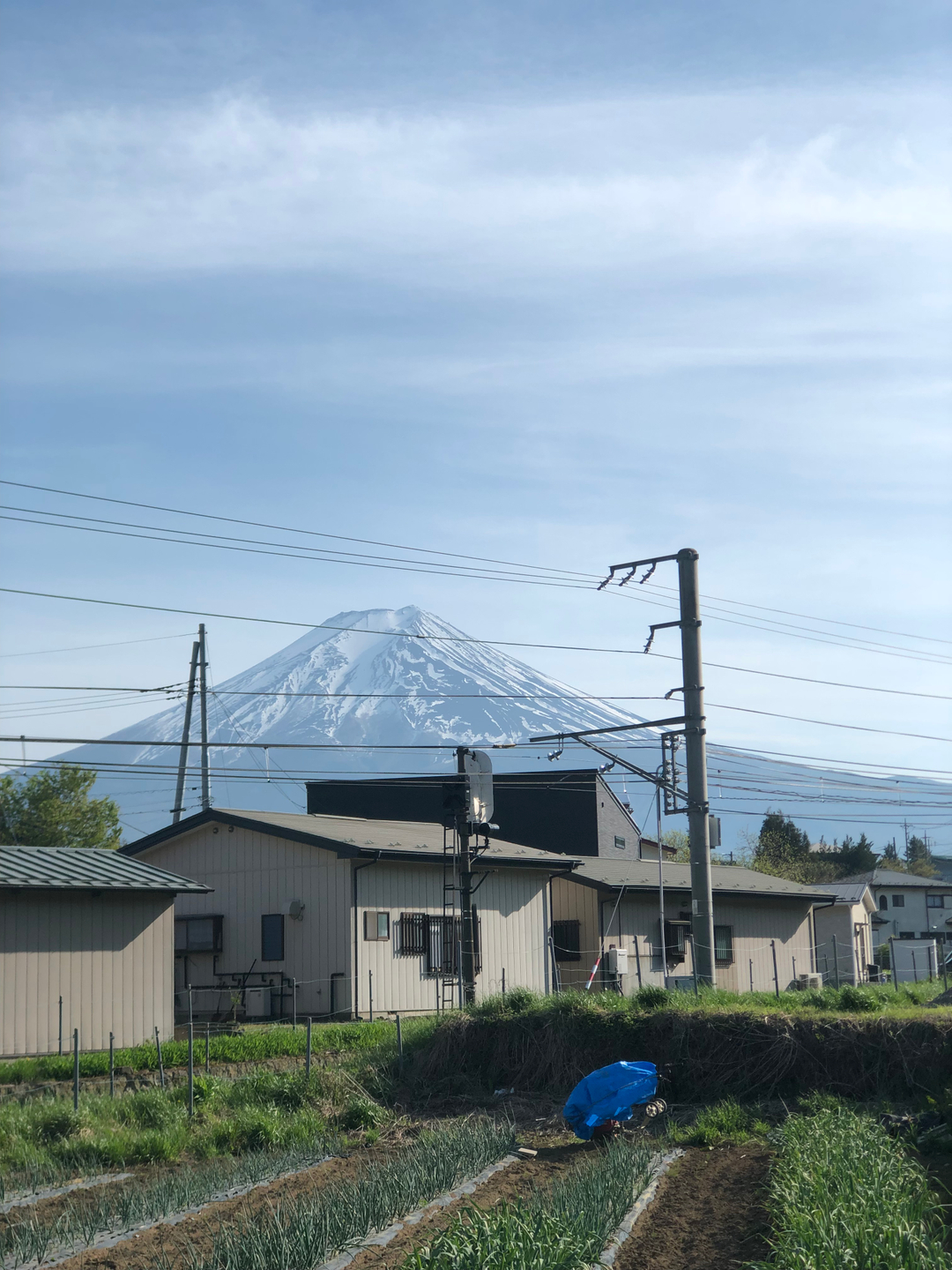 userImage-2