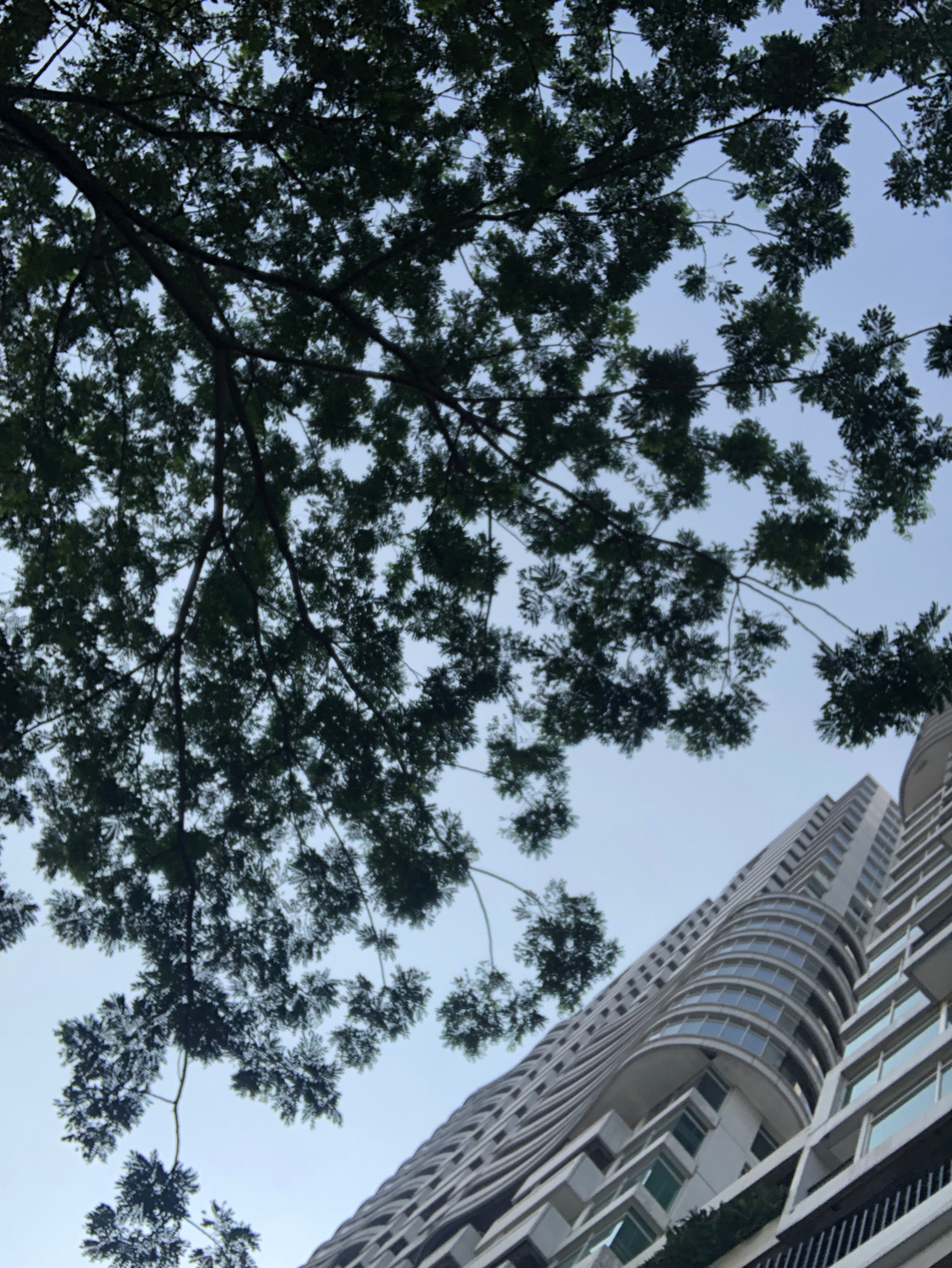 userImage-11