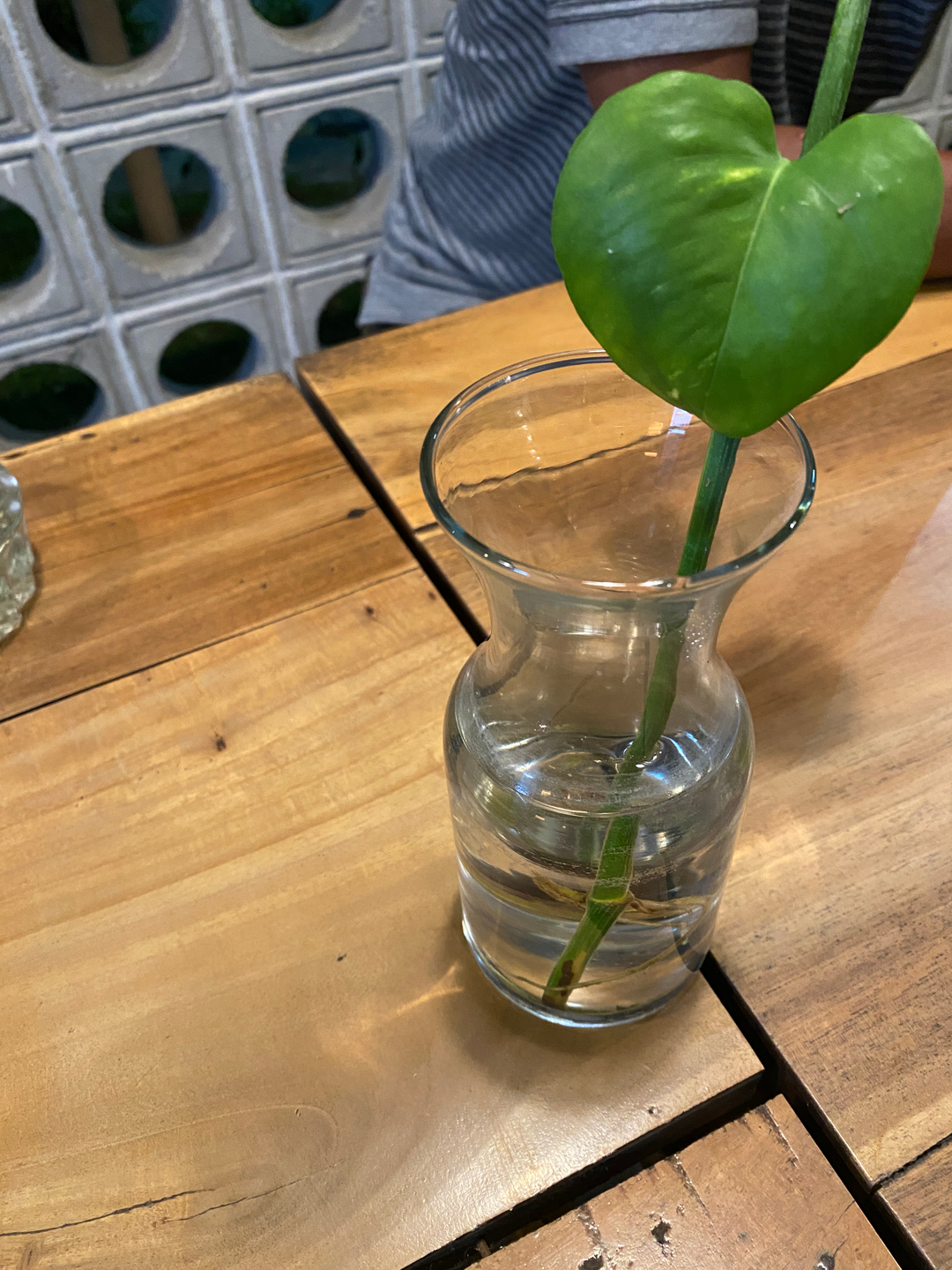 userImage-1