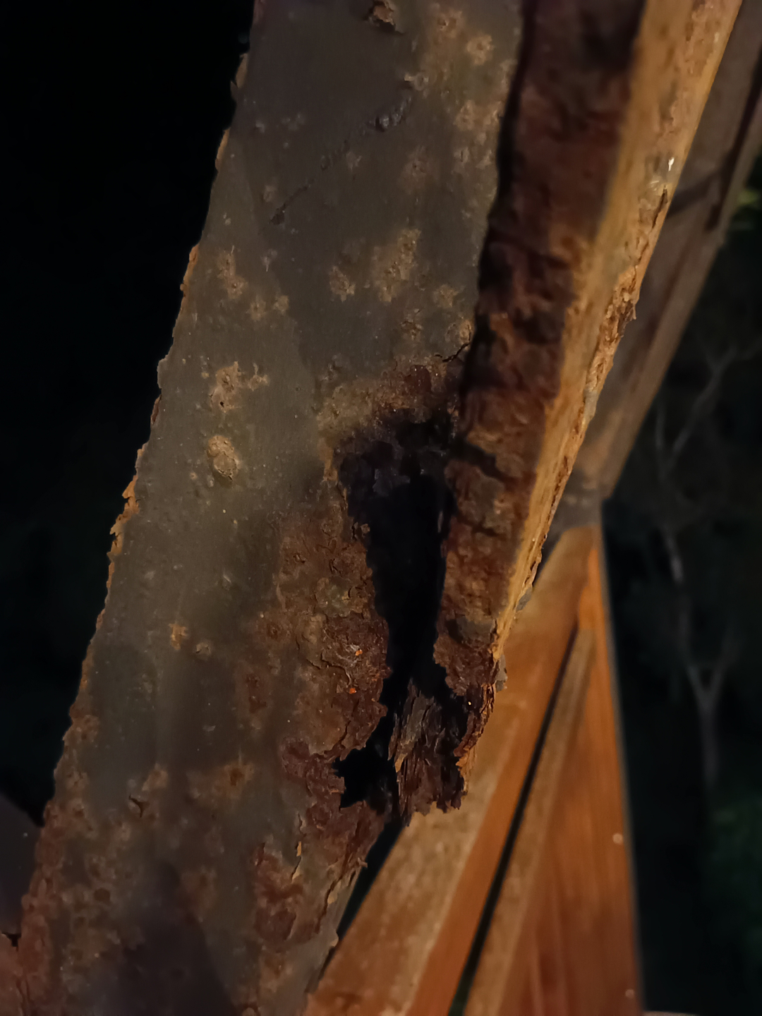 userImage-14