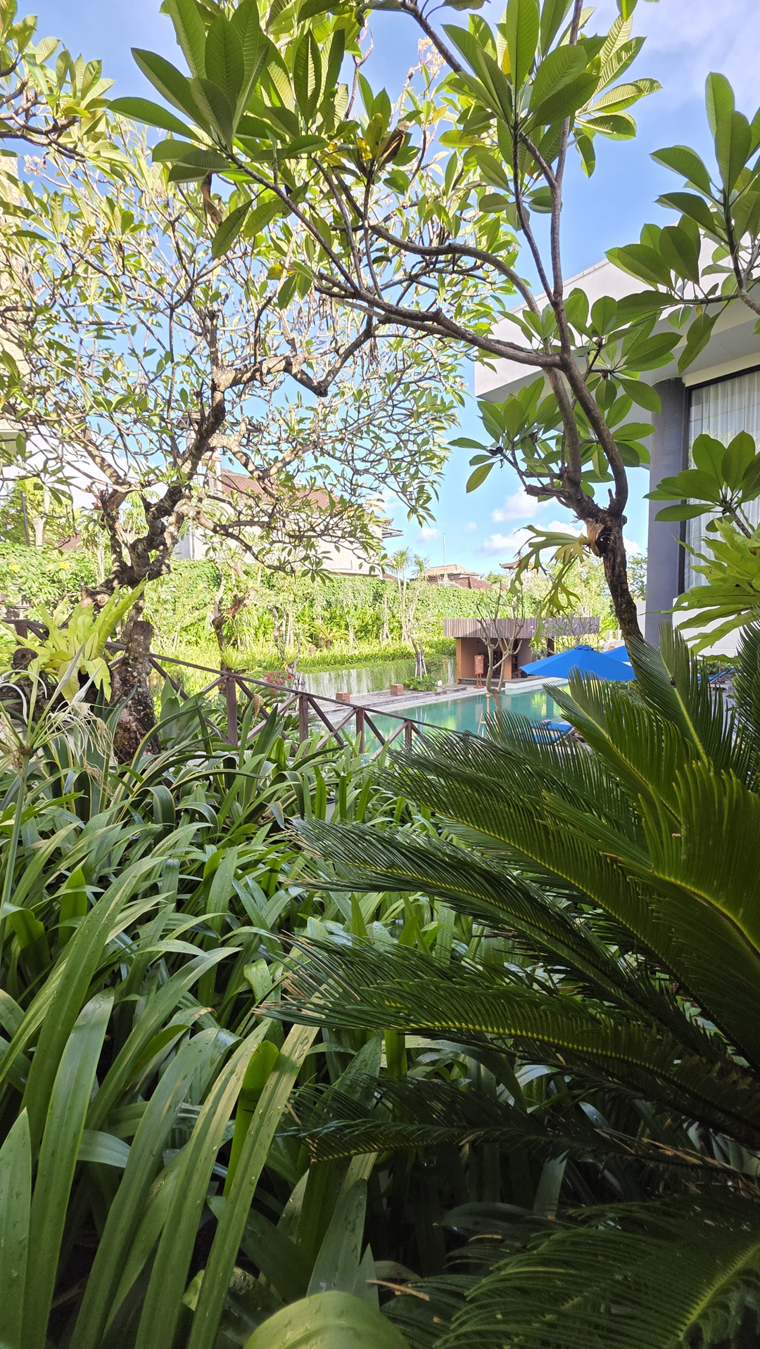 userImage-11
