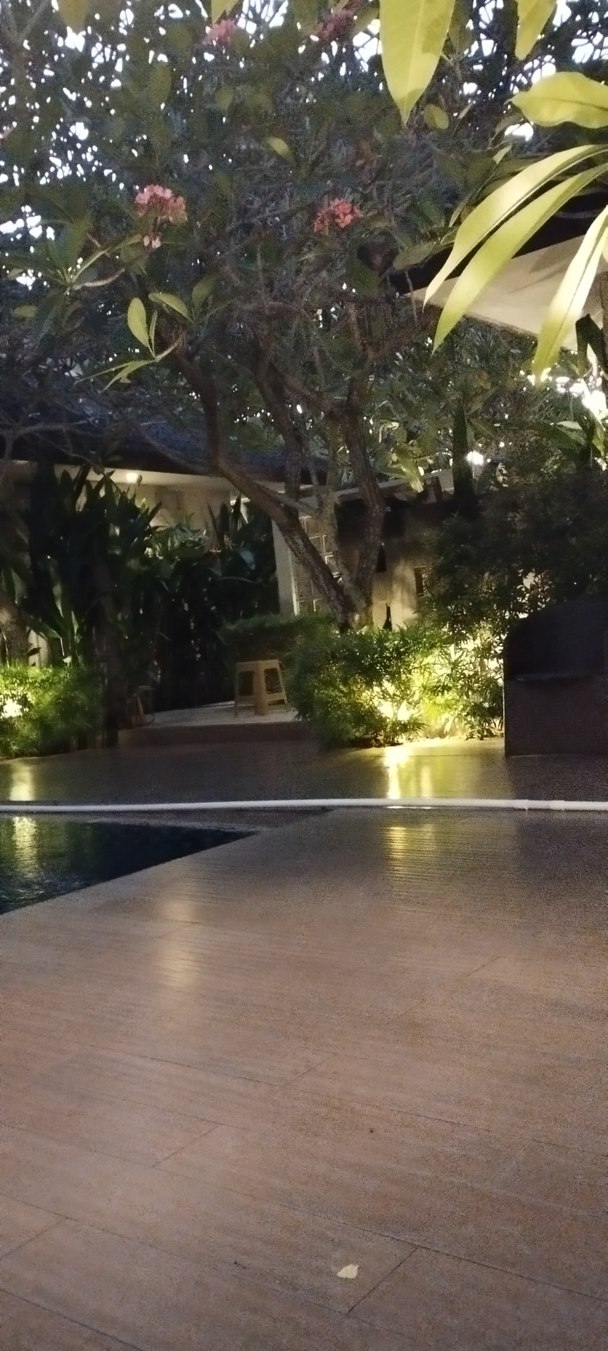 userImage-16