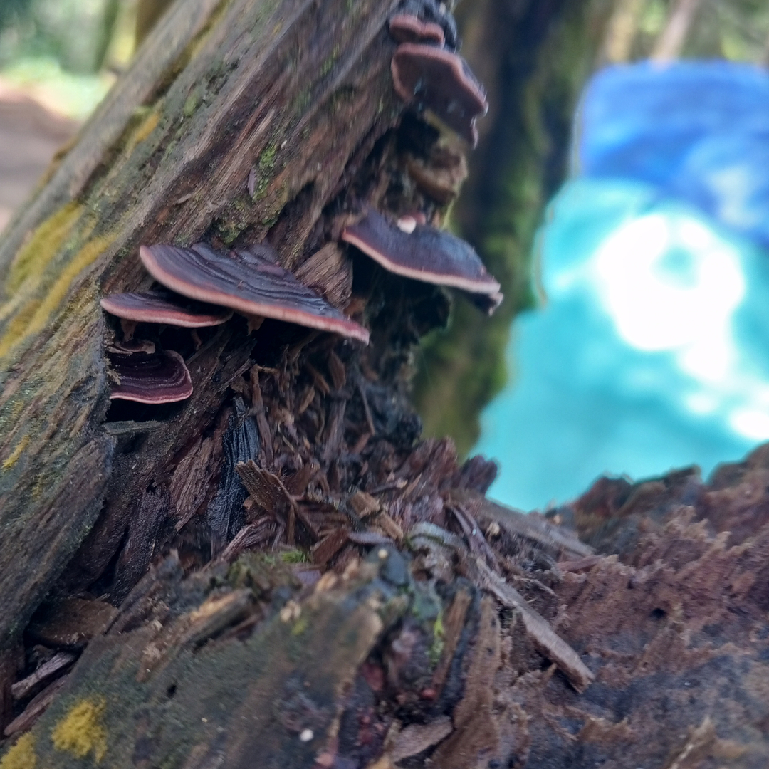 userImage-4