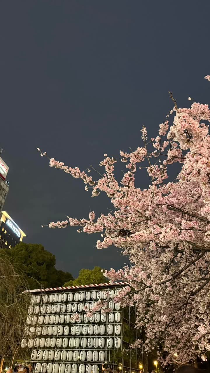 userImage-5