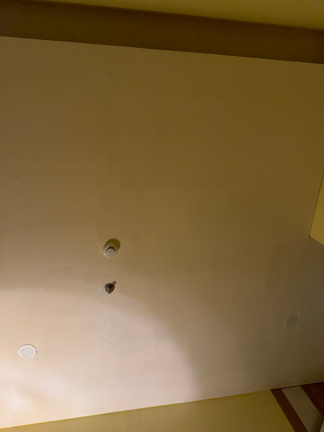 userImage-5