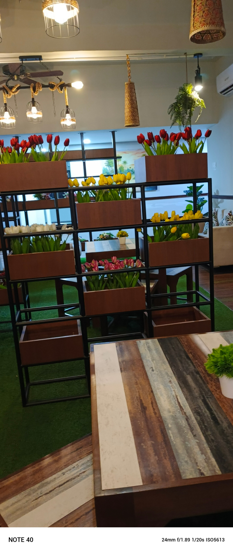 userImage-17