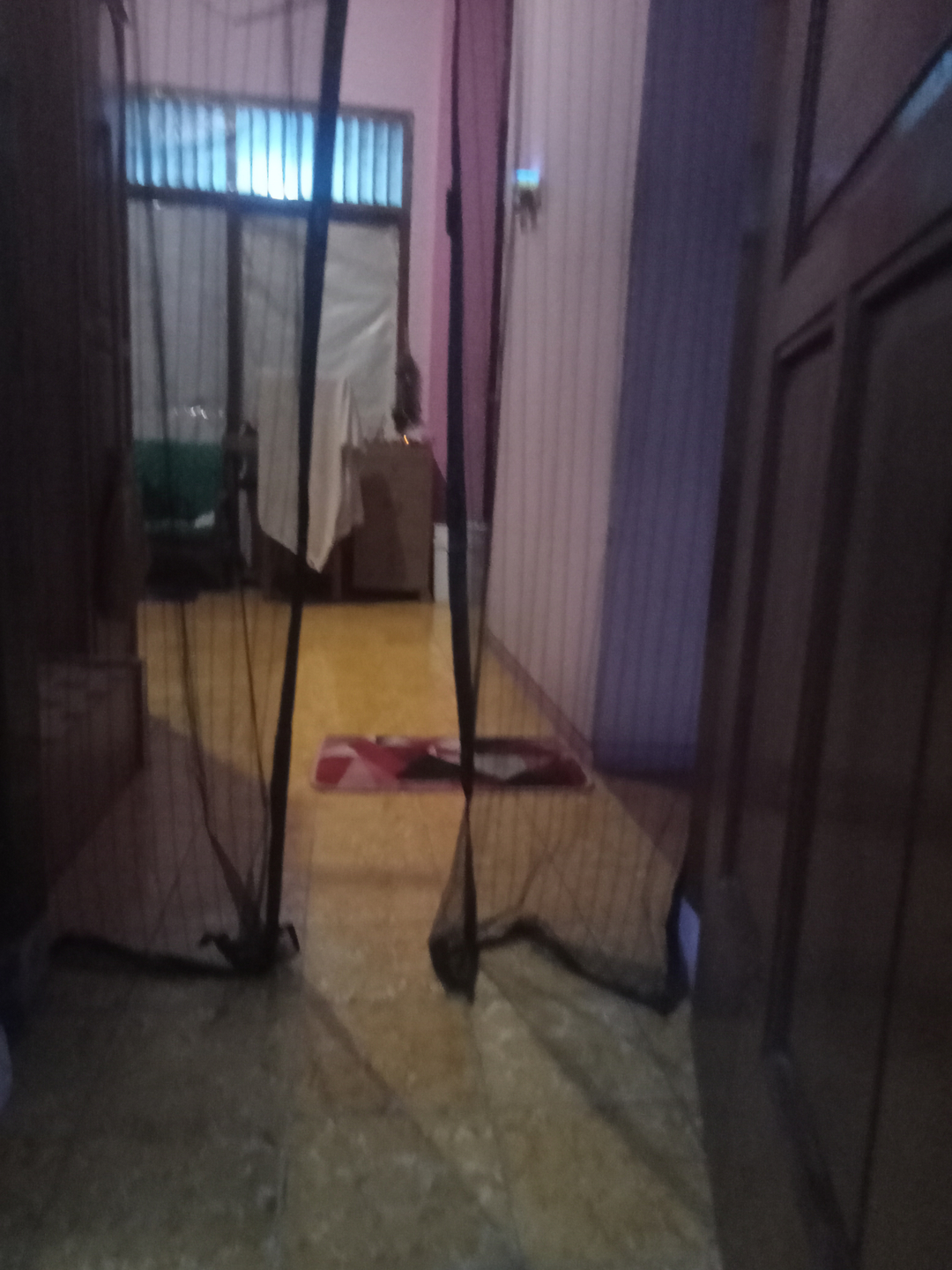 userImage-1