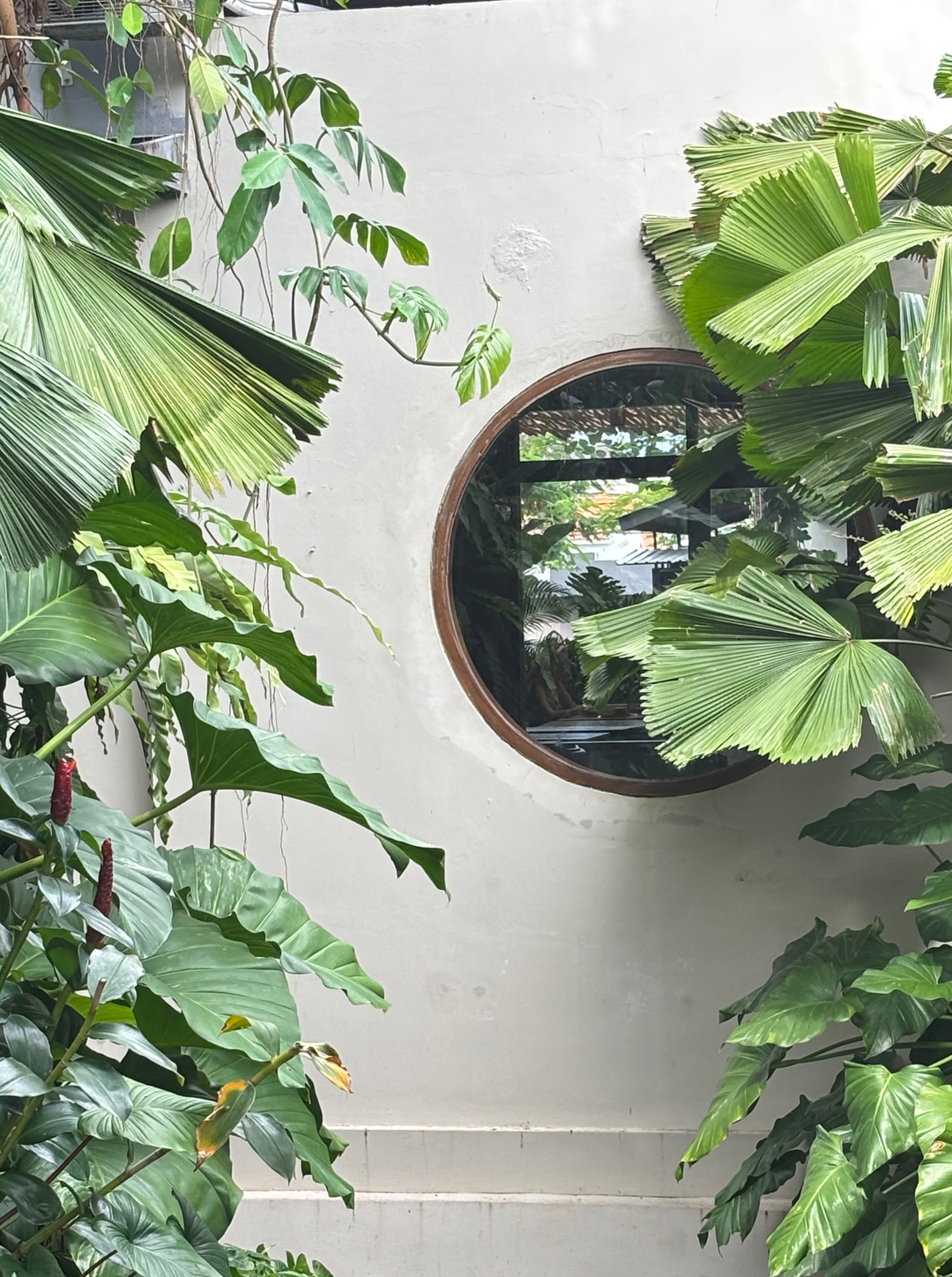 userImage-12