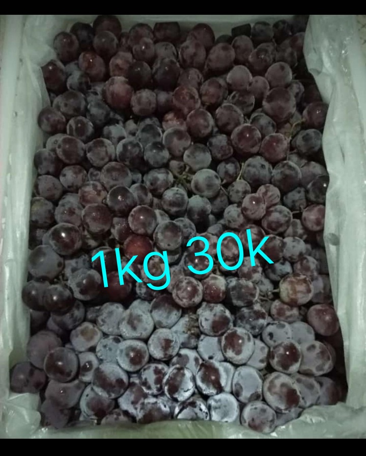 userImage-4