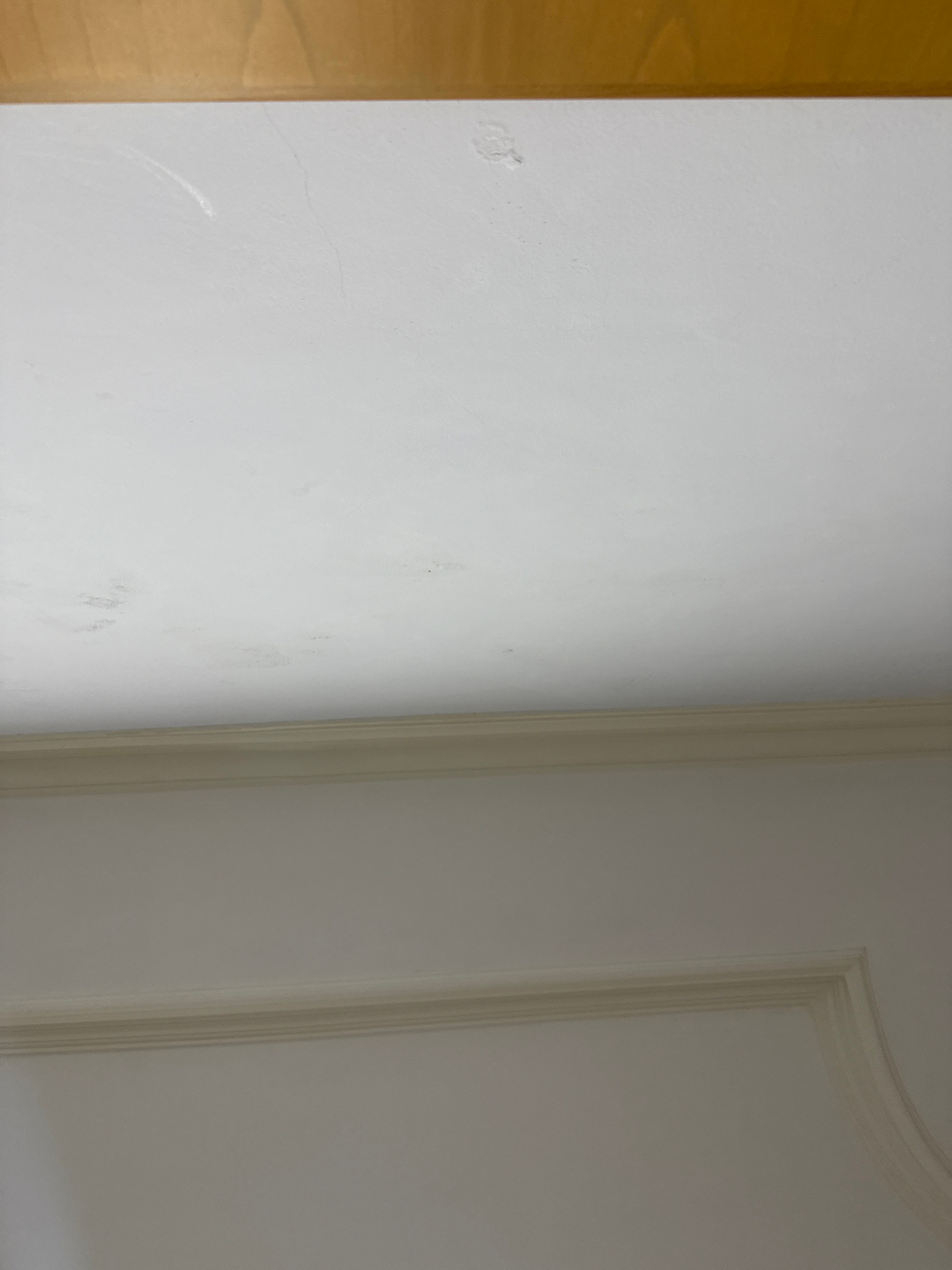 userImage-1