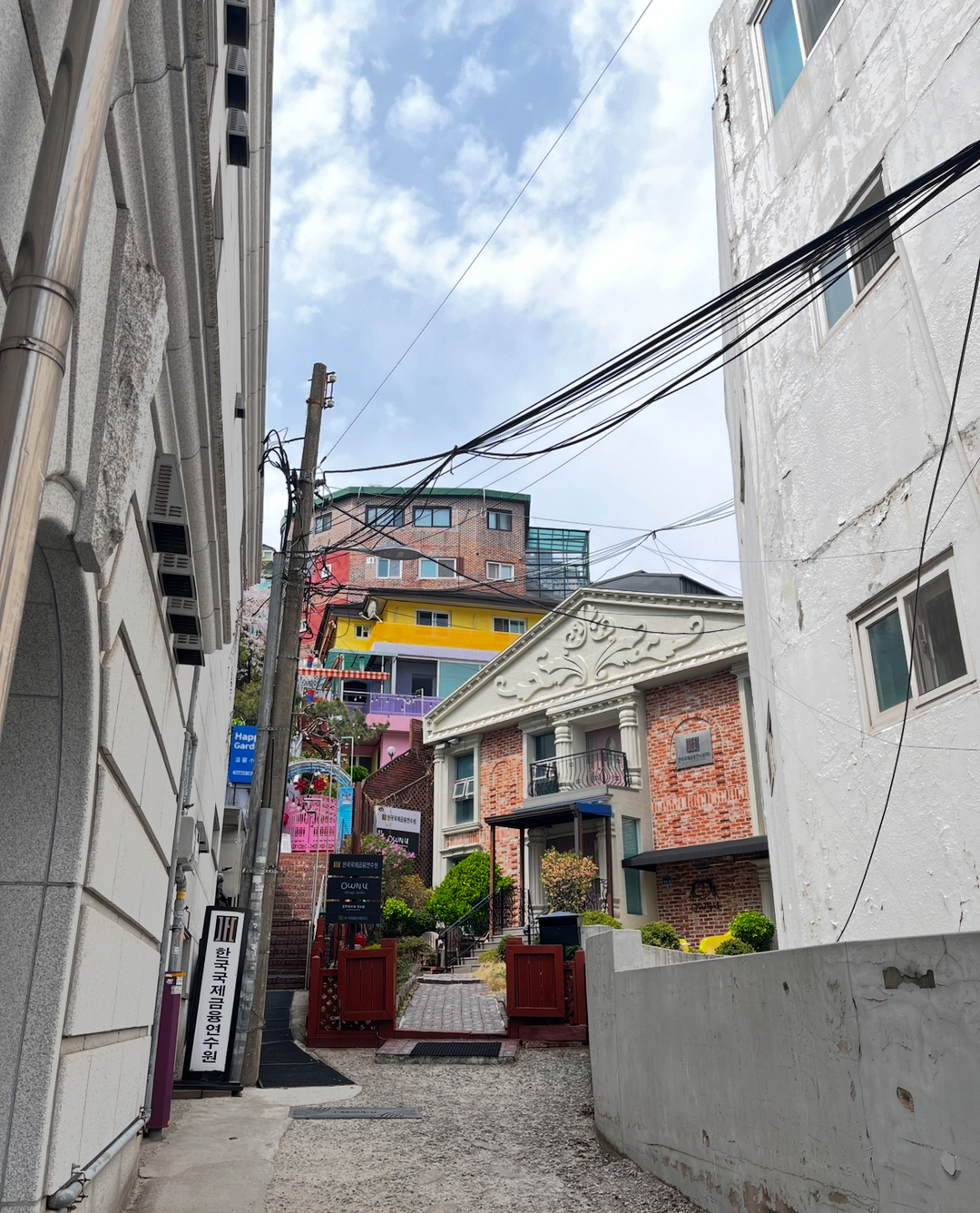 userImage-9